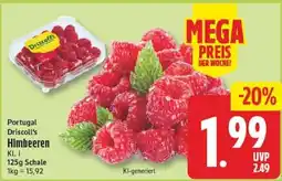 Edeka Driscoll's Himbeeren Angebot