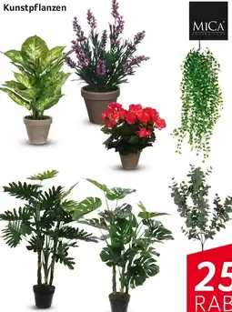 Selgros MICA Kunstpflanzen Angebot
