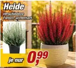 Posten Börse Heide Angebot
