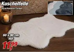 Posten Börse Kuschelfelle Angebot