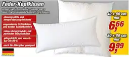 Posten Börse Feder-Kopfkissen Angebot