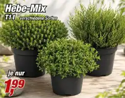Posten Börse Hebe-Mix Angebot