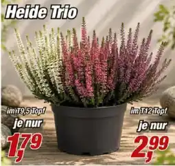 Posten Börse Heide Trio Angebot