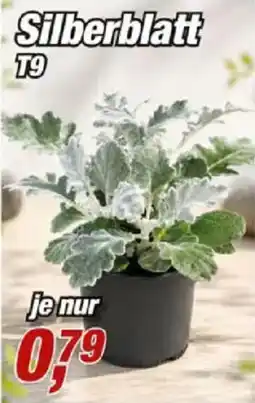 Posten Börse Silberblatt T9 Angebot
