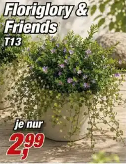 Posten Börse Floriglory & Friends T13 Angebot