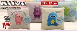 Posten Börse Mini Kissen Angebot