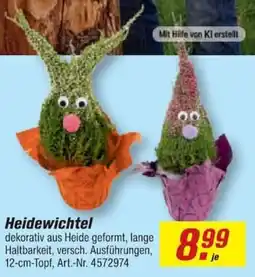 toom Baumarkt Heidewichtel Angebot