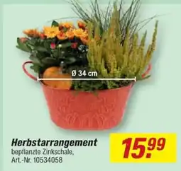 toom Baumarkt Herbstarrangement bepflanzte Zinkschale Angebot