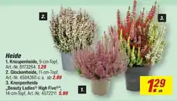 toom Baumarkt Heide Angebot