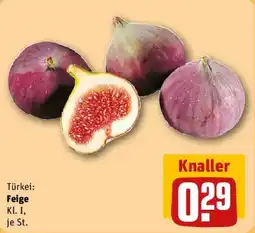 REWE Feige Angebot
