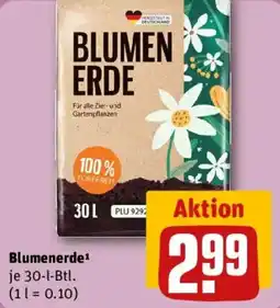 REWE Blumenerde Angebot