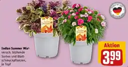 REWE Indian Summer Mix Angebot