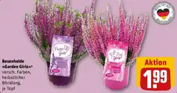 REWE Besenheide Garden Girls Angebot
