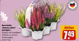 REWE Besenheide Beauty Ladies Starlight Angebot