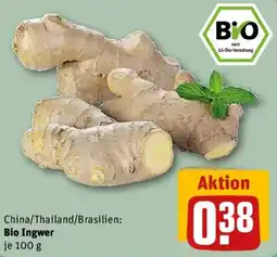 REWE Bio Ingwer Angebot