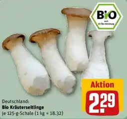 REWE Bio Kräuterseitlinge Angebot