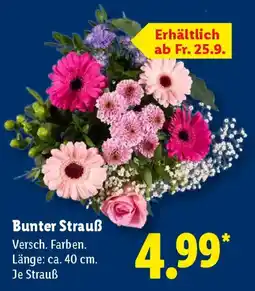 Lidl Bunter Strauß Angebot