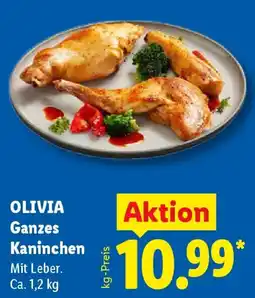 Lidl OLIVIA Ganzes Kaninchen Angebot