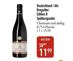 Galeria Markthalle Brog sitter Edition B Spätburgunder Angebot