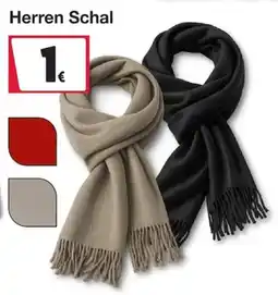 Woolworth Herren Schal Angebot
