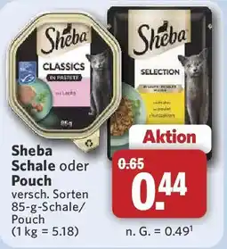 Combi Sheba Schale oder Pouch Angebot