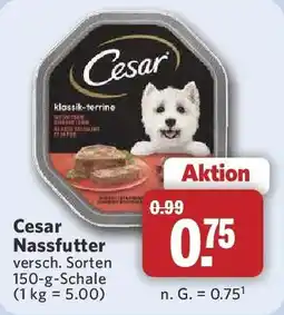 Combi Cesar Nassfutter Angebot