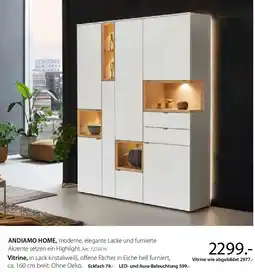 Zurbrüggen Vitrine Angebot
