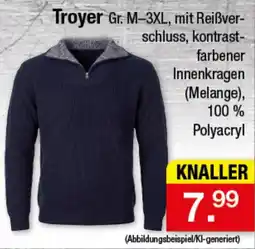 Zimmermann Troyer Angebot