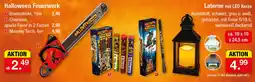 Zimmermann Halloween Feuerwerk Angebot