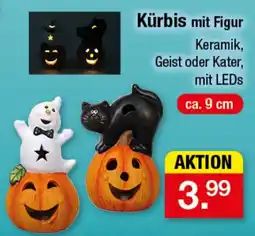 Zimmermann Kürbis mit Figur Angebot