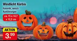 Zimmermann Windlicht Kürbis Angebot