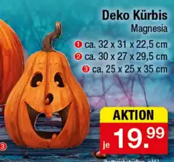 Zimmermann Deko Kürbis Magnesia Angebot