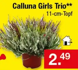 Zimmermann Calluna Girls Trio** Angebot