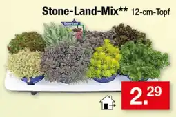 Zimmermann Stone-Land-Mix** Angebot