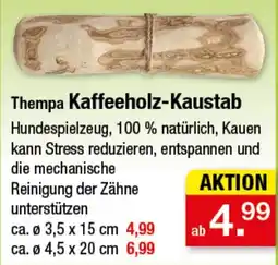 Zimmermann Thempa Kaffeeholz-Kaustab Angebot