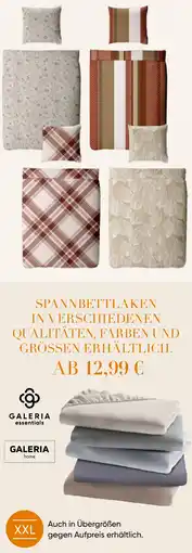 Galeria GALERIA essentials Spannbettlaken Angebot