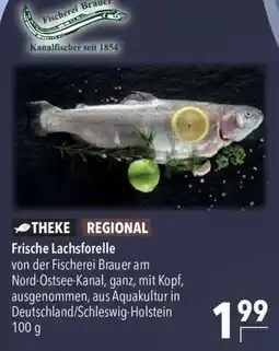 CITTI Markt Frische Lachsforelle von der Fischerei Brauer Angebot