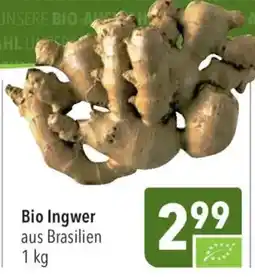 CITTI Markt Bio Ingwer Angebot