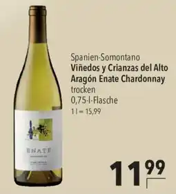 CITTI Markt Viñedos y Crianzas del Alto Aragón Enate Chardonnay Angebot