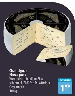 CITTI Markt Champignon Montagnolo Angebot