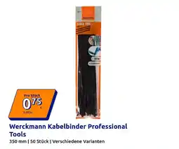 Action Werckmann Kabelbinder Professional Tools Angebot