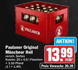 AEZ Paulaner Original Münchner Hell Angebot