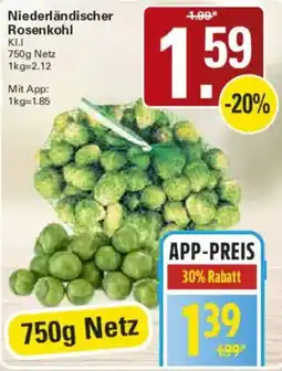WEZ Niederländischer Rosenkohl Angebot