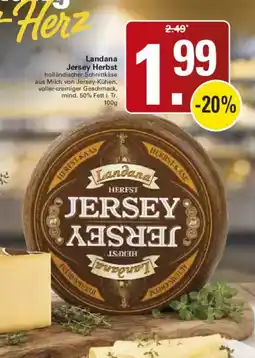 WEZ Landana Jersey Herbst Angebot