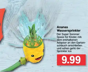 Famila Nord West Ananas Wassersprinkler Angebot