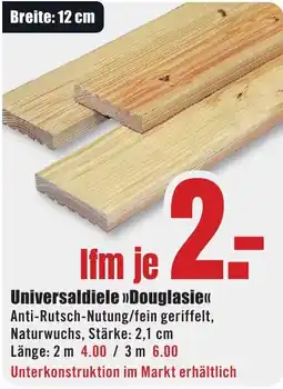 B1 Discount Baumarkt Universaldiele »Douglasie« Angebot