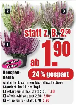 B1 Discount Baumarkt Garden Girls Knospen-heide Angebot