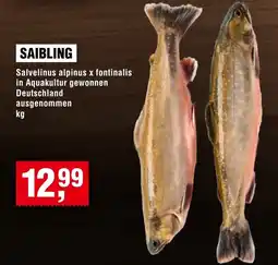 Handelshof SAIBLING Angebot