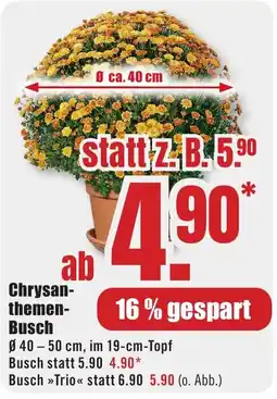 B1 Discount Baumarkt Chrysanthemen-Busch Angebot