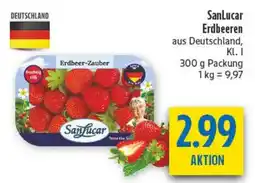 diska SanLucar Erdbeeren Angebot